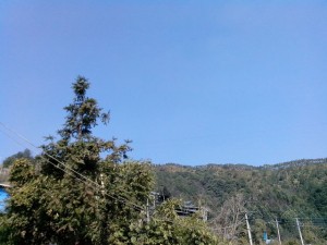 IMG_20140202_130255