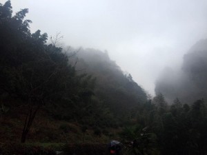 IMG_20151122_13064858